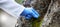 Scientist hand, moss and tree in nature, studying growth in forest for sustainable plant analysis. Ecology, science and