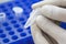 scientist hands in white gloves holding the eppendorf tube with DNA samples  in laboratory