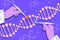 scientist hands working with DNA researcher making experiment in lab DNA testing genetic diagnosis concept