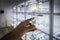 Scientist holds test tube with micro plant in vitro on background of racks with test tubes