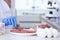 Scientist inspecting forcemeat at table in laboratory, closeup. Food quality control