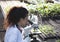 Scientist looking at microscope in greenhouse