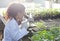 Scientist looking at microscope in greenhouse