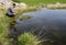 Scientist measuring environmental water quality in a wetland