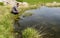 Scientist measuring environmental water quality in a wetland