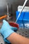 Scientist pipetting a petri dish in the safety cabinet of lab