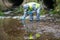 Scientist in a protective suit and mask, collects the liquid from the reservoir in a test tube, to take tests in the laboratory