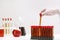 Scientist putting test tube with brown liquid into stand on white table, closeup