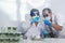 Scientist teams consult together with biochemistry plants tissue culture biotechnology science. Biotech Laboratory teamwork man