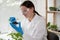 Scientist woman is conducting experiments, tests with plants in petri dish at laboratory. Biotechnologist is researching