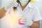 Scientist woman dropping pink chemical liquid with test tube glass for carrying research chemistry liquid