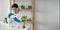 Scientist woman at laboratory is conducting experiments, tests with plants in petri dish. Biotechnologist is researching