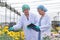 Scientist women with lab gown and hair cover stand in front of multi-color flowers.smiling with the concept of good experiment