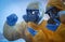 Scientists in chemical protective suits writing formula on board at laboratory. Virus research