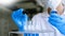 Scientists researching in laboratory in white lab coat, gloves analysing, looking at test tubes sample, biotechnology concept