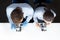 Scientists in uniforms looking through microscopes in laboratory