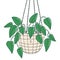 Scindapsus funny plant character in a hanging pot, vector illustration