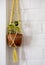 Scindapsus in a hanging macrame planter. Epipremnum in a clay ceramic pot