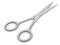 Scissors (clipping path included)