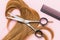 Scissors, a comb and a lock of curly blond female childrens hair on a pink background
