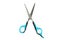 Scissors for grooming animals isolated on a white