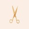 Scissors hairdresser sign icon. Tailor symbol