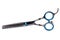 Scissors isolated. Close-up of a new professional thinning scissors for haircuts isolated on a white background. Barbers or