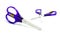 Scissors purple iso lated.