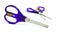 Scissors purple iso lated.