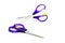 Scissors purple iso lated.