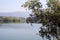 A Scnic View of Neyyar Dam River Water Reservoir in South India