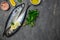 Scomber, marinated mackerel or herring fish with salt, lemon and spices on a dark background. Seafood concept. top view