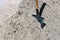 A scoom shovel sticks out of a pile of gray sand. building material. Concept of road or repair work.