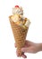 Scoop ice creams with cone & topping