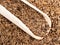 Scoop on pile of caraway fruits closeup