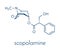 Scopolamine hyoscine anticholinergic drug molecule. Used in treatment of nausea, vomiting and motion sickness. Skeletal formula.