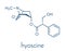 Scopolamine hyoscine anticholinergic drug molecule. Used in treatment of nausea, vomiting and motion sickness. Skeletal formula.