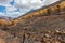 Scorched bushes and trees on a hillside after fire in Sicily, It