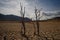 Scorched earth and earth clods are seen on dry land caused by drought and lack of rain due to climate change. Concept of water