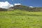 Scorched hillside and fresh spring growth in Centennial Valley, Lakeview, MT