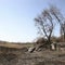 Scorched land with slate rocks