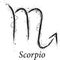 Scorpio astrology sign, hand drawn horoscope