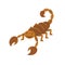Scorpion animal cartoon character isolated on white background.