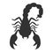 Scorpion Animal on White Background