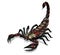 Scorpion - with clipping path