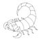 Scorpion coloring book. Vector outline illustration scorpio.