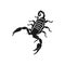 Scorpion icon illustration isolated vector sign symbol
