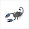 Scorpion insect animal vector illustration.