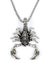 The scorpion pendant and necklace - Stainless Steel