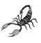 The scorpion sign horoscope ethnic style outline